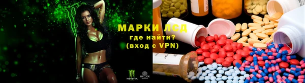 крисы Алексин