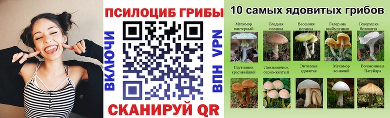 Галлюциногенные грибы Psilocybine cubensis магазин продажи наркотиков Елец